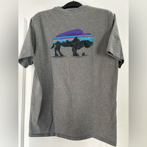 Patagonia Bison Graphic T-Shirt - Picture 2 of 3